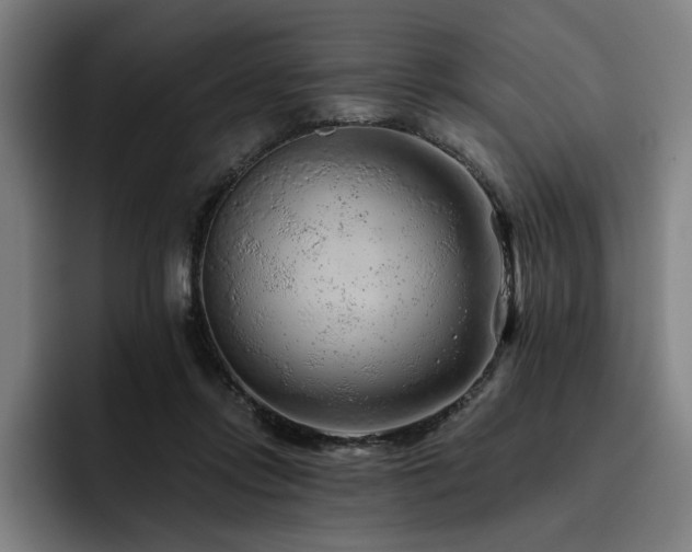 X0000093470358200710121429
