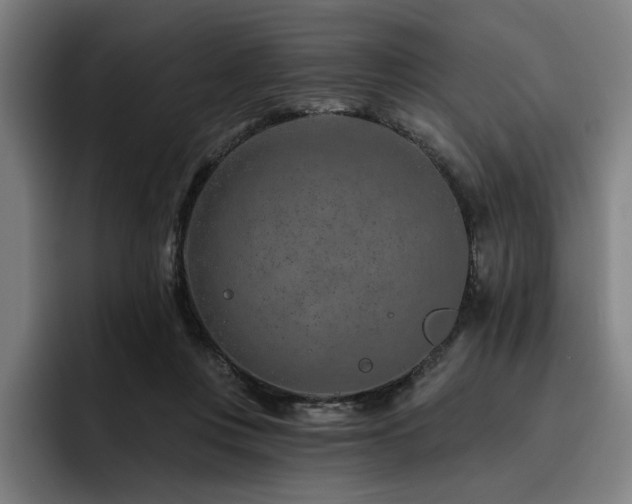 X0000093470359200710121429