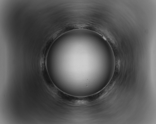 X0000093470360200710121429