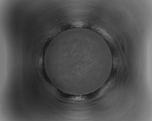 X0000093470365200710121429