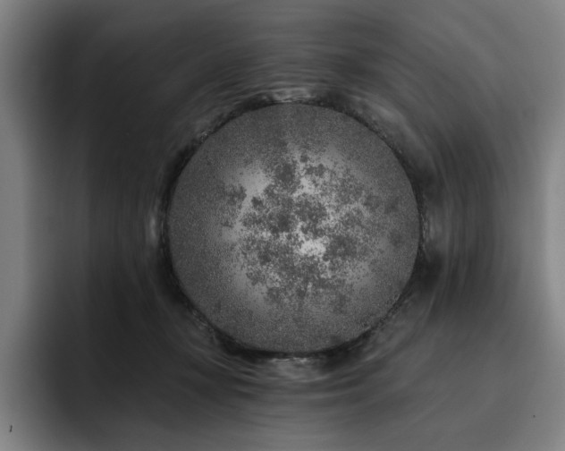 X0000093470367200710121429