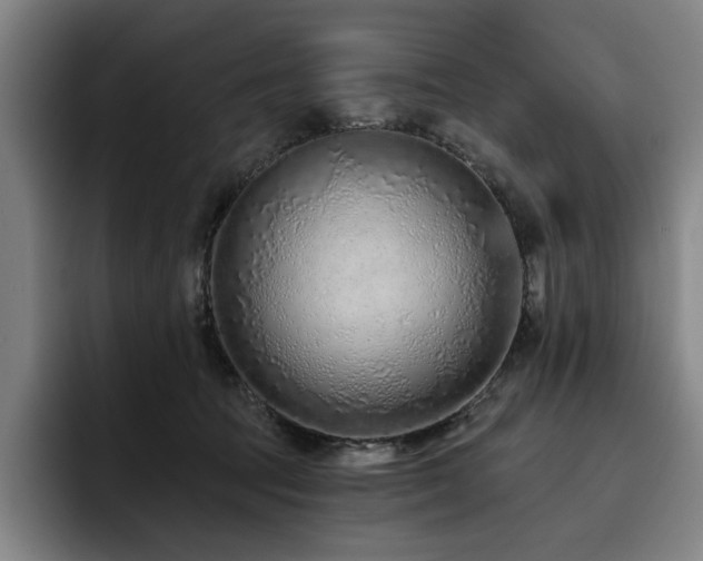 X0000093470369200710121429