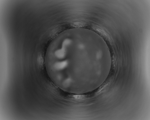 X0000093470371200710121429