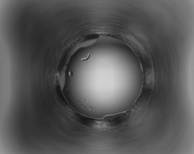 X0000093470376200710121429
