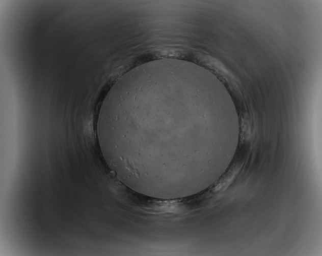 X0000093470377200710121429