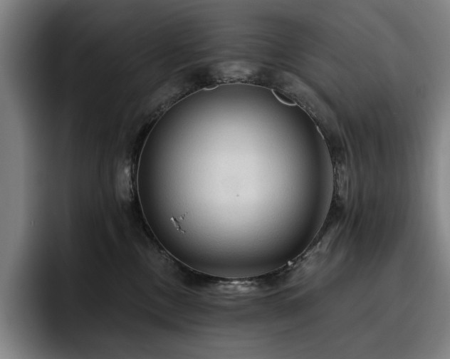 X0000093470378200710121429