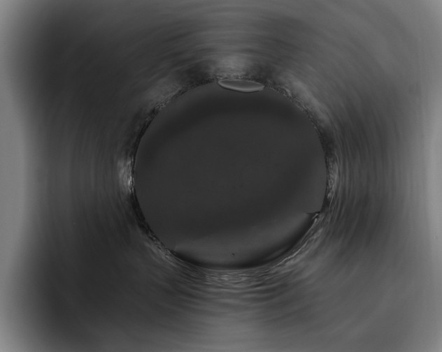 X0000093470383200710121429
