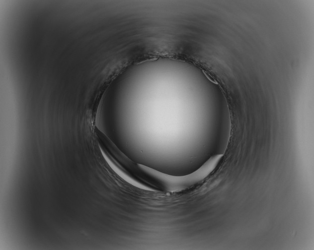 X0000093470384200710121429