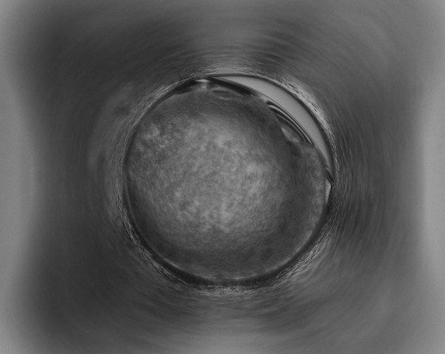 X0000093470385200710121429