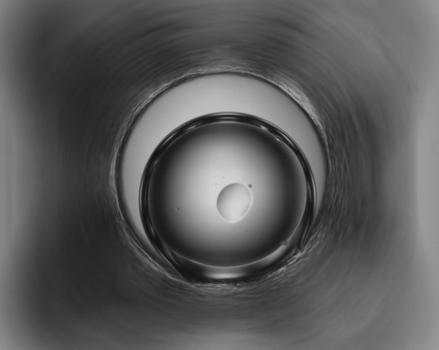 X0000093470389200710121429