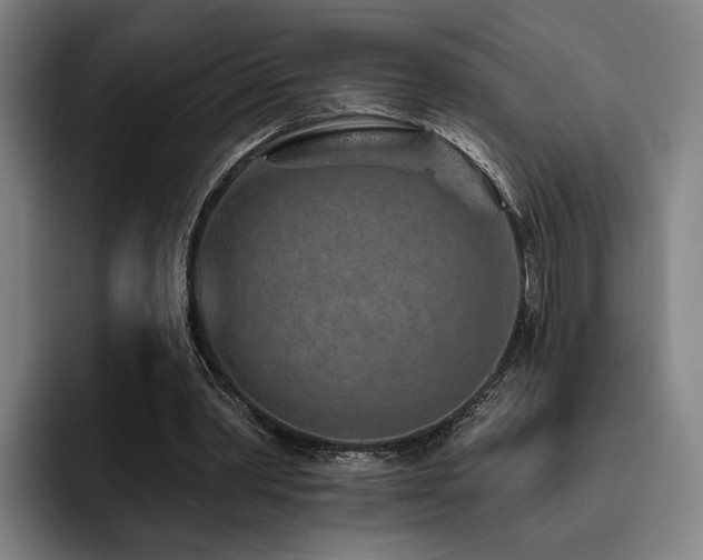 X0000093470390200710121429
