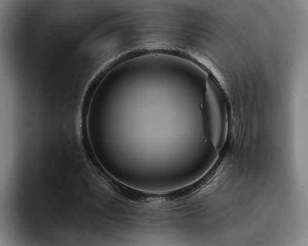 X0000093470391200710121429