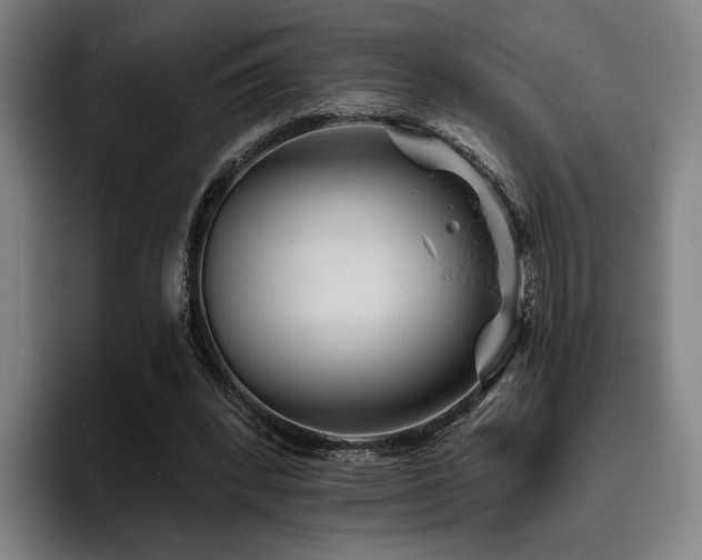 X0000093470392200710121429