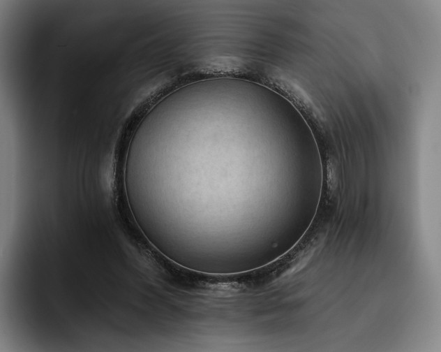 X0000093470396200710121429
