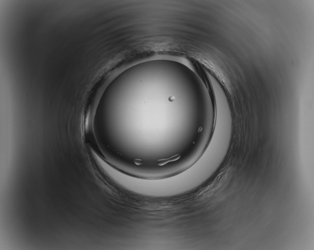 X0000093470397200710121429
