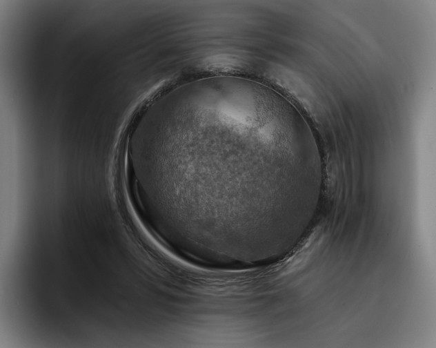 X0000093470399200710121429