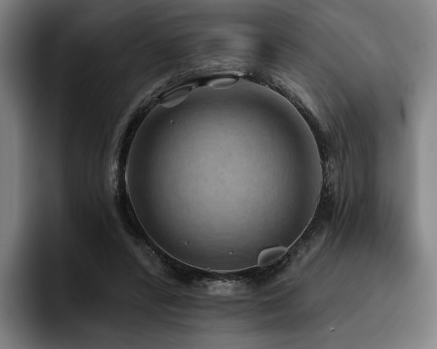 X0000093470400200710121429