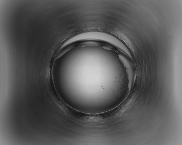 X0000093470401200710121429