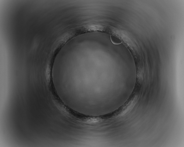 X0000093470402200710121429