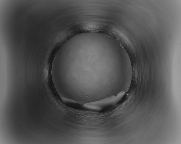 X0000093470404200710121429