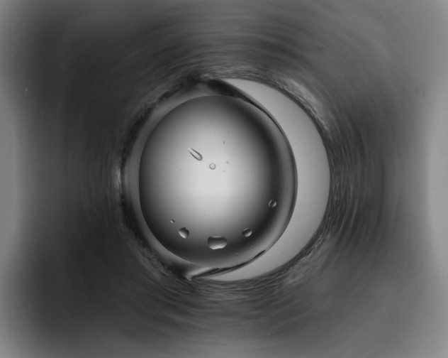 X0000093470405200710121429
