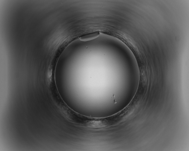 X0000093470406200710121429