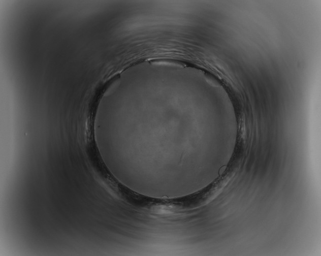 X0000093470408200710121429