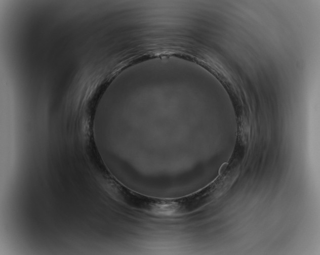 X0000093470410200710121428