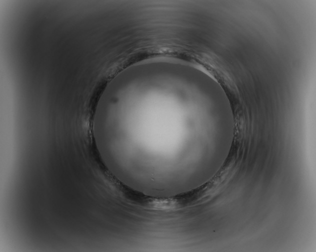 X0000093470415200710121428