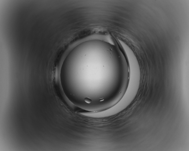 X0000093470417200710121428