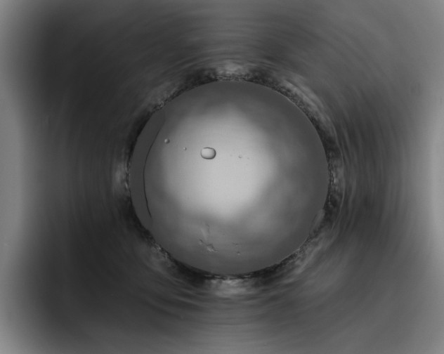 X0000093470419200710121428