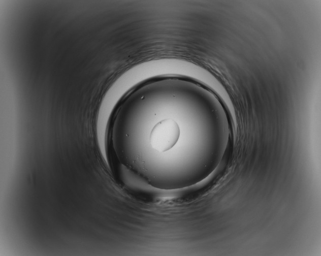 X0000093470423200710121428