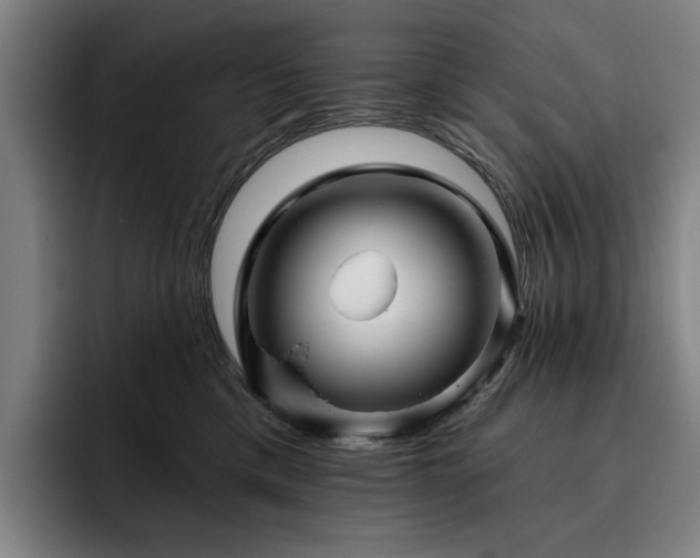 X0000093470425200710121428