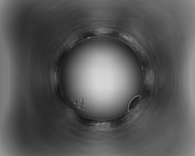 X0000093470426200710121428