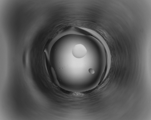 X0000093470429200710121428