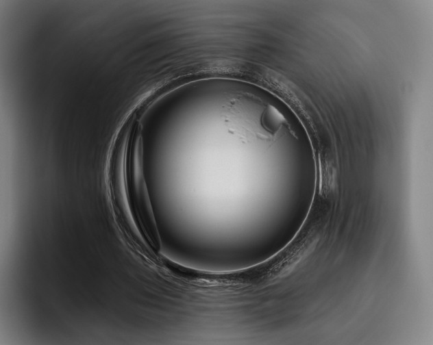X0000093470435200710121428