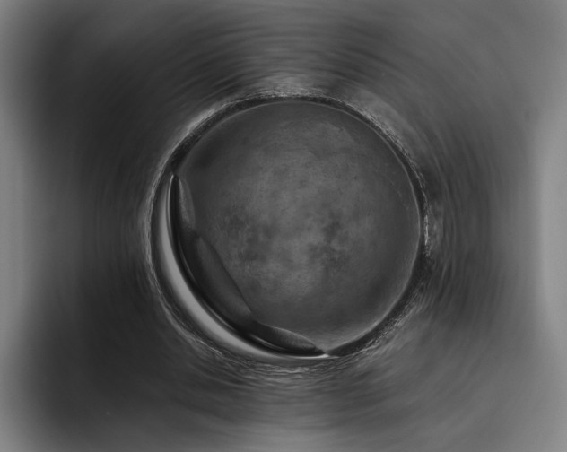 X0000093470438200710121428