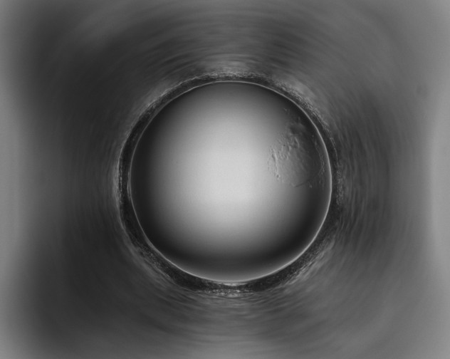 X0000093470439200710121428