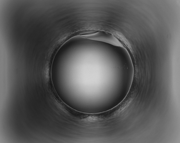 X0000093470441200710121428