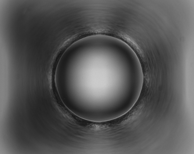 X0000093470442200710121428