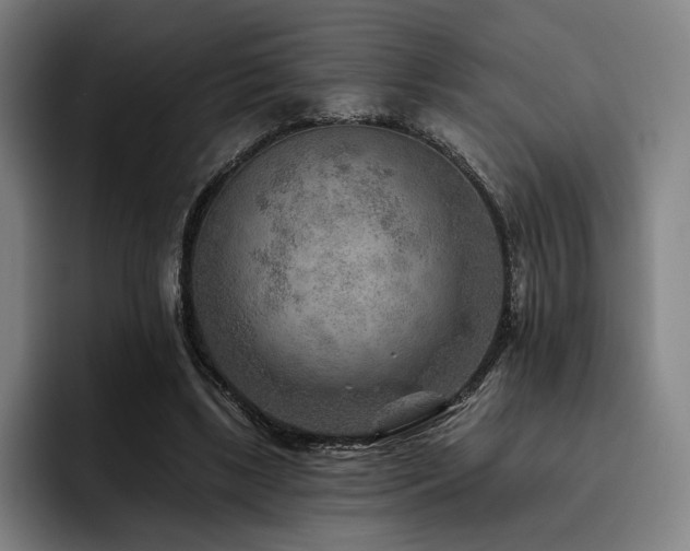 X0000093470443200710121428