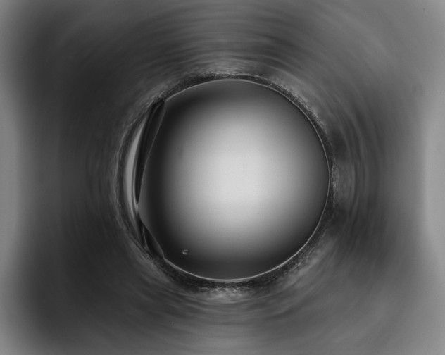 X0000093470445200710121428