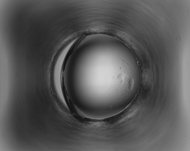 X0000093470446200710121428