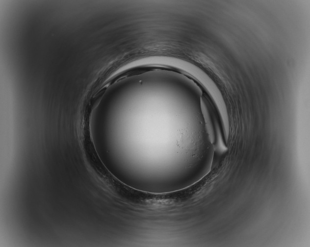 X0000093470448200710121428