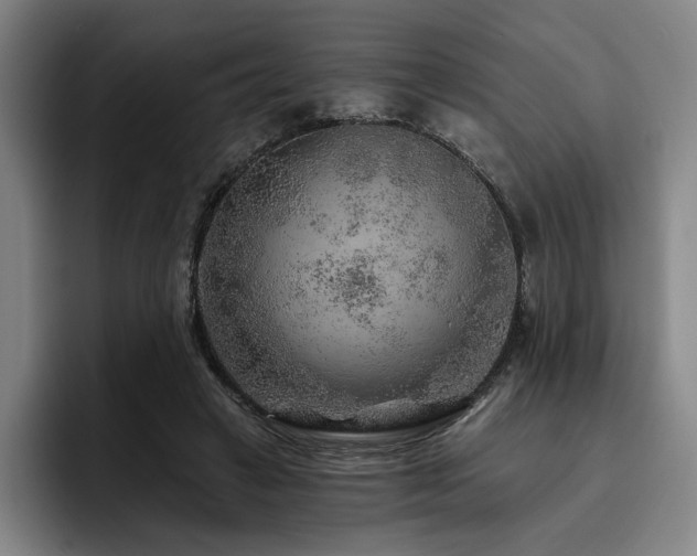 X0000093470449200710121428