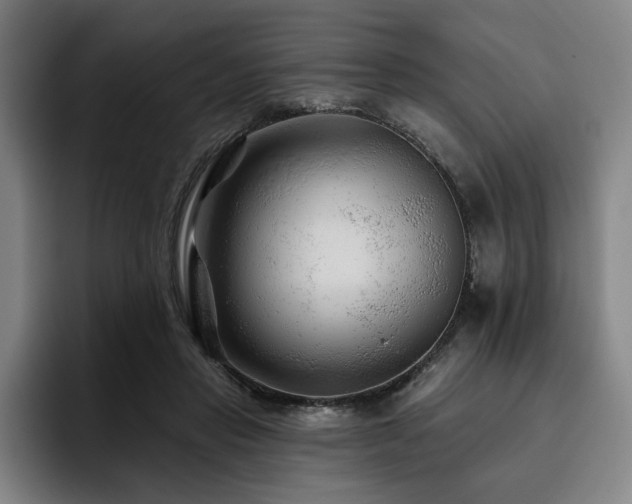 X0000093470453200710121428