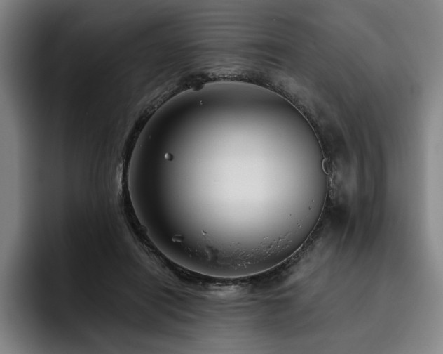 X0000093470454200710121428