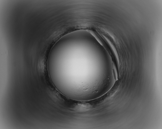 X0000093470455200710121428