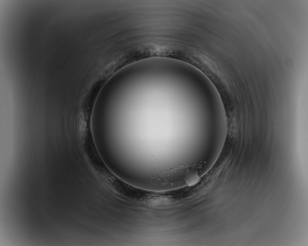X0000093470456200710121428