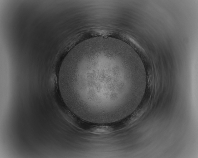 X0000093470459200710121428